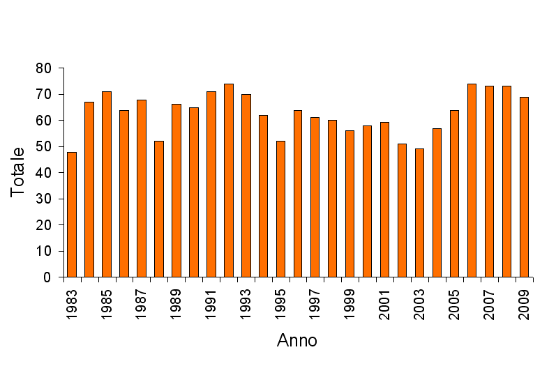 Grafico camoscio