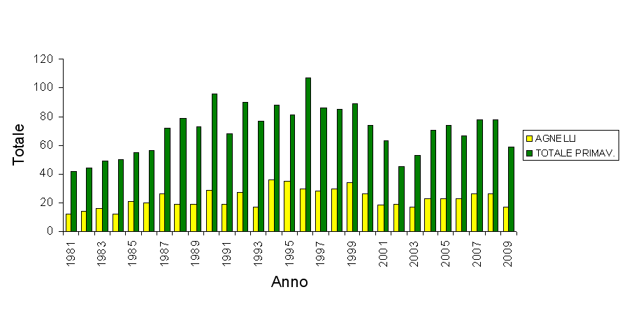 Grafico muflone